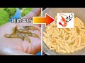 そこら辺の川にいるエビでかっぱえびせん作ってみた