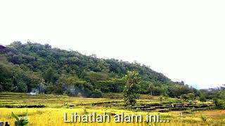 Tonton Puisi Keindahan Alam