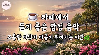 [카페감성음악] 카페에서 듣기 좋은 음악 | 조용한 바다와 햇살 아래 감성을 채우는 음악 | 여유로운 자연 속 감성 힐링음악