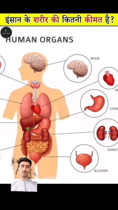 how-much-human-body-workout-amazingfacts-humanbody-factbodymind