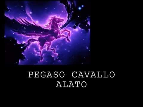 Video: Pegasus è un cavallo alato e uno dei preferiti delle Muse