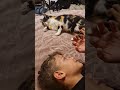 Pure Love: Kids & Cats 🥰💞 #cat