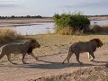 South Luangwa National Park July 2022