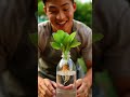 I Stopped Using Soil… Here’s What Happened
