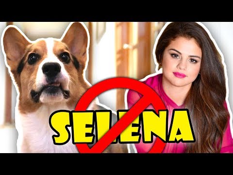 corgi-disapproves-of-selena-gomez-||-life-after-college:-ep.-575