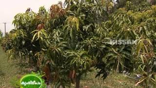 Hi-Tech farming of fruit crops like Mango,Cashew,Pomegranate,Guava,Gooseberry in open field