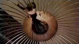 Vanessa Paradis making of Coco Chanel ヴァネッサパラディ 検索動画29 Vanessa Paradis making of Coco Chanel ヴァネッサパラディ 検索動画 29
