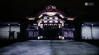 二条城桜まつり2018　夜のライトアップ23日から