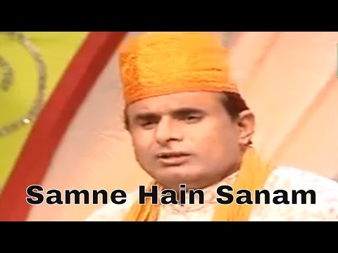 Samne Hain Sanam Aur Kya Chahiye | Zaheer Miyan Qawwali | Rang E Sailani | Teena Audio