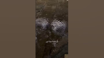 وأن ليس للإنسان إلا ماسعى تلاوة  ( الشيخ ناصر القطامي )