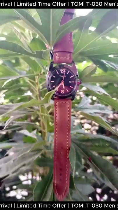 TOMI T-030 Wrist Stainless Steel Round Dial Men's Watches Quartz Leather Straps