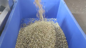 My Meyer M1 Color Sorter Efficiency