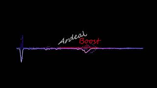 Irina Rimes - Bolnavi amandoi [Ardeal Bass Boosted]