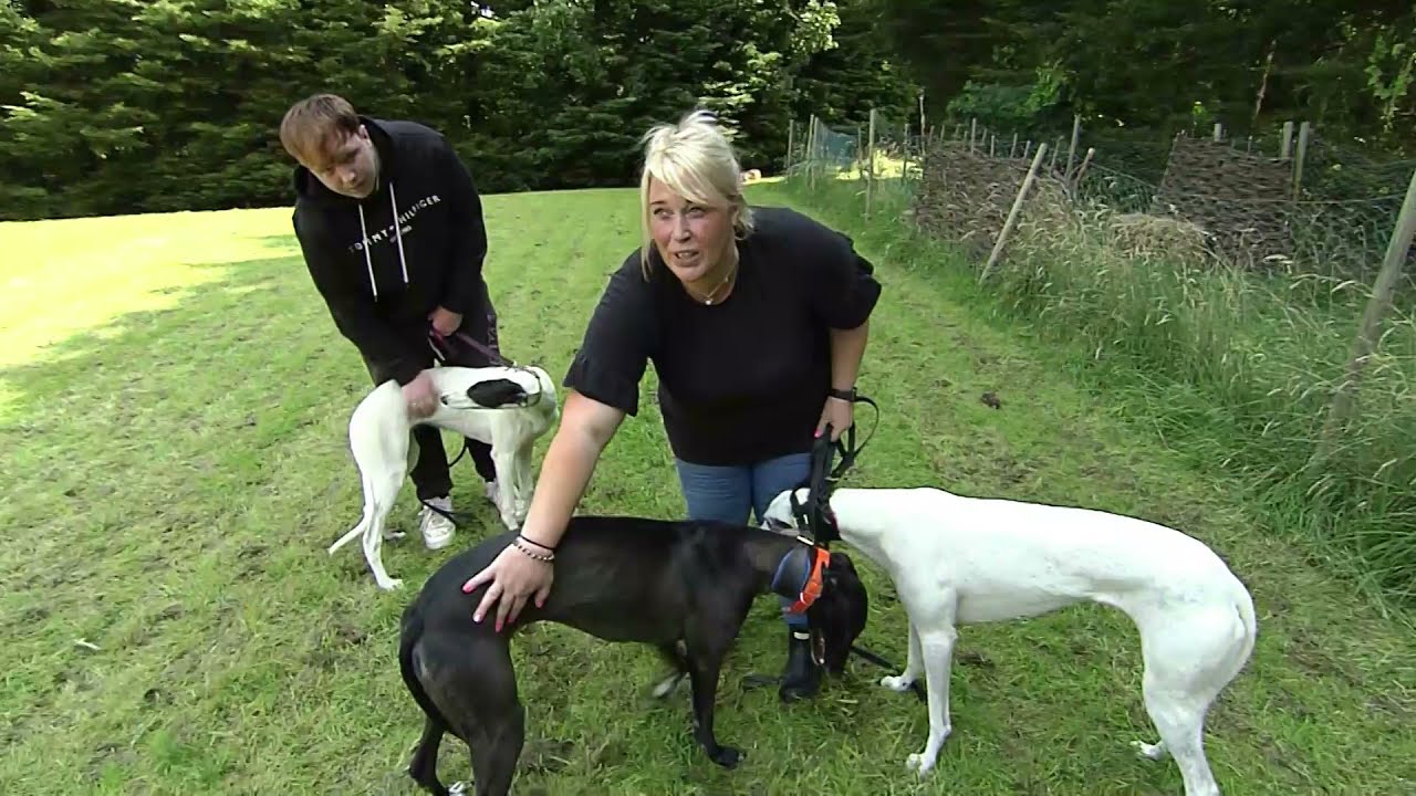 GEMMA EVANS HOPES AND PUPS