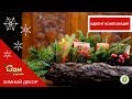 Адвент композиция // Рождественский подсвечник //Christmas decor