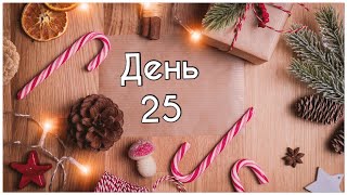:   2024 -  25