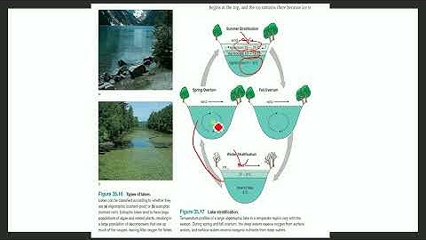 CSIR NET 2022 sept Question Solution Ecology Part 3