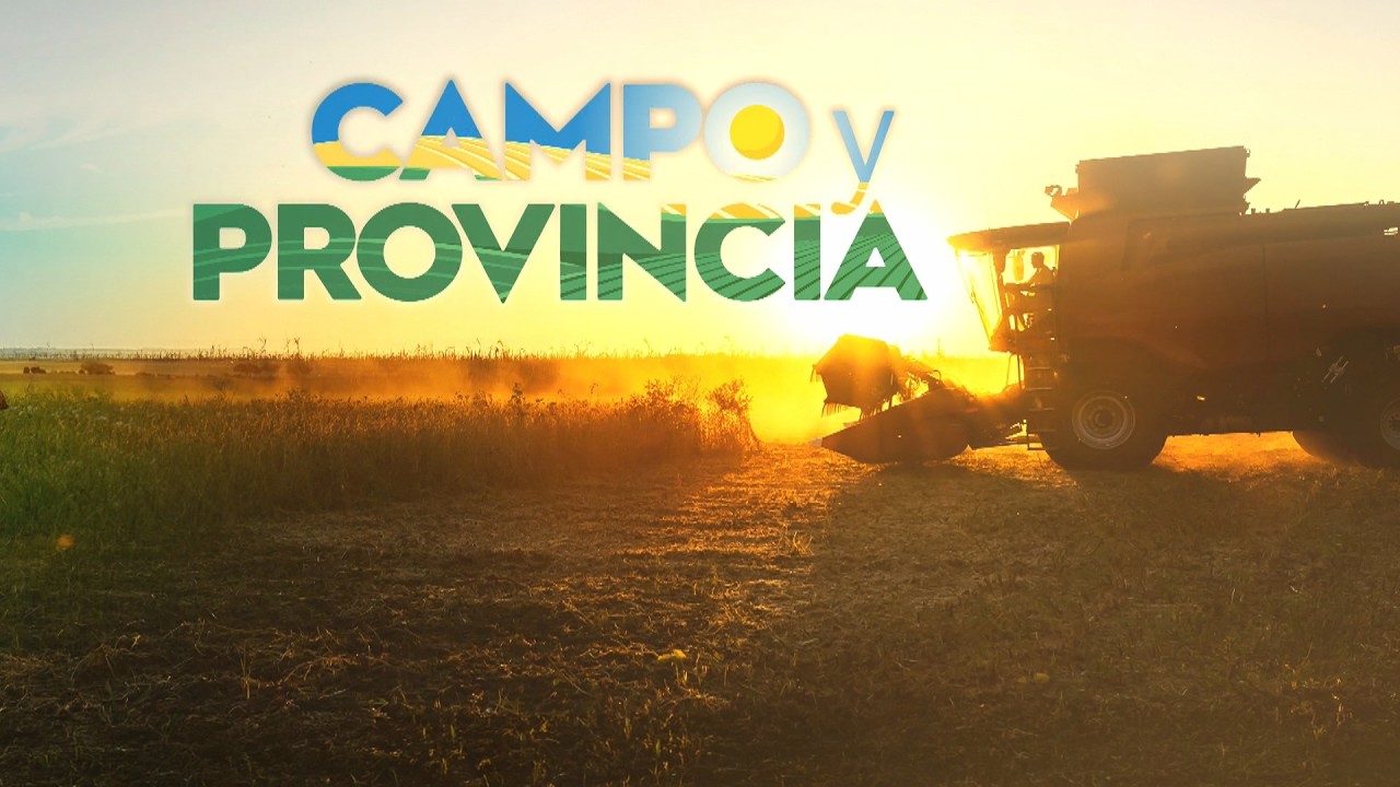 CAMPO Y PROVINCIA 29 DE SEPTIEMBRE DE 2026