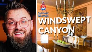 Sherwin Williams Windswept Canyon - This Paint Color is EXCITING