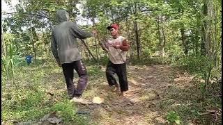 CUTTING TIMBER FOR THE BOSS' PROJECT