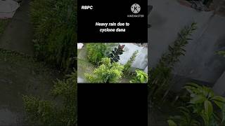 Rain Due To Cyclone Dana In Morning