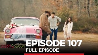 Cherry Season Episode 107