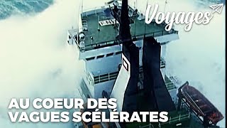 Au coeur des tempêtes - Documentaire