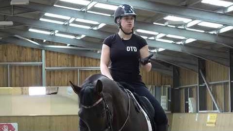 WARMING UP A HORSE THAT IS BUILT ON THE FOREHAND | OTD.TV