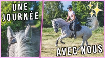 UNE JOURNÉE AUX ÉCURIES AVEC MOI - Mathilde & Sligo