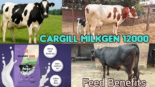 Cargill Milkgen 12000 Feed Benefits And Feed Price ! # cargill # Milkgen # feed #cow #milk #fat #snf