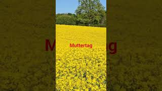 #muttertag #muttertagsgeschenk #mama #mothersday #shortsvideo #shortsviral #viralshorts #tiktok