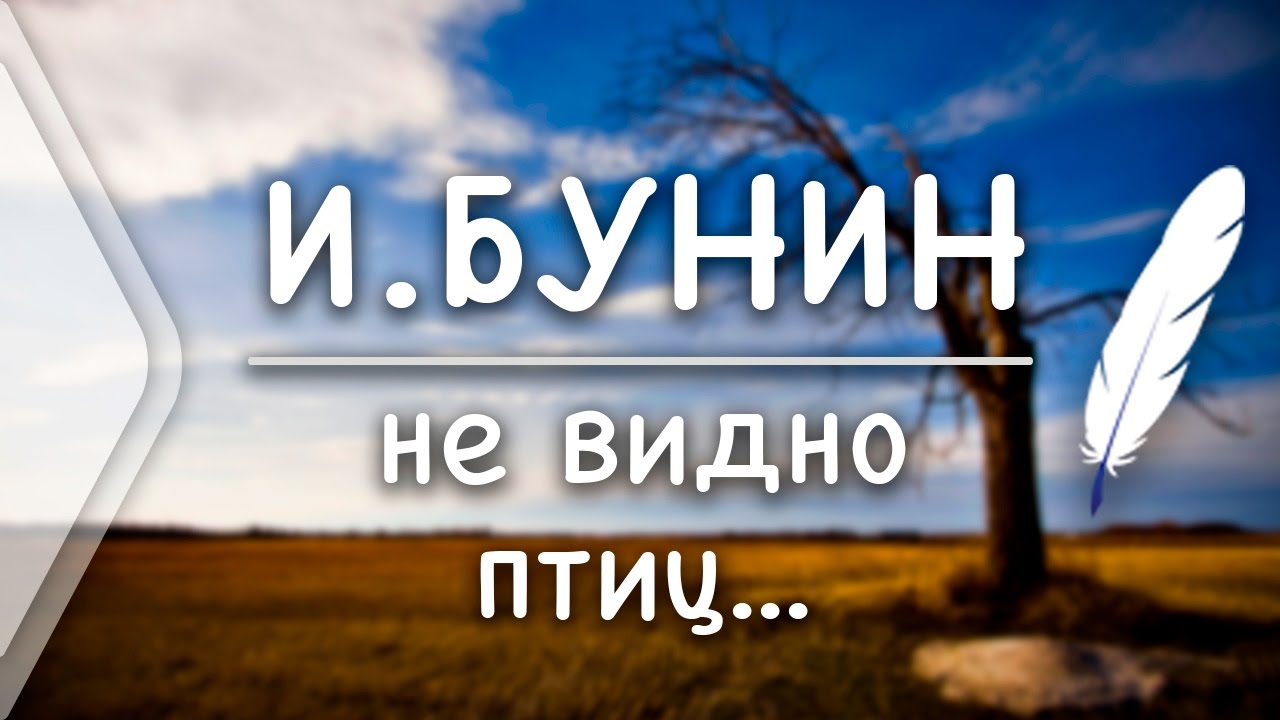 Стихотворение бунина не видно птиц покорно. Бунин не видно птиц. Стихотворение не видно птиц Бунин. Бунин стих не видно птиц. Стих не видно птиц покорно чахнет.