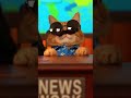 🐱📰 Purrfect Weather Forecast Gone Hilariously Wrong! 😂🌦️