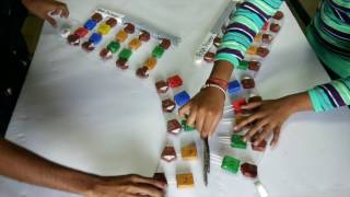 Project on semiconservative DNA replication