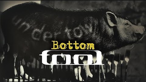 Tool - Bottom (Unofficial Lyrics vid)