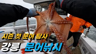 2024년 봄 시즌 강릉 첫 문어낚시 탐사(주문진 데미호)