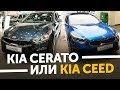 В Питер за машиной! Новый Kia Cerato 2018 или Новый KIA Ceed 2018. Модельный ряд KIA / ТИХИЙ