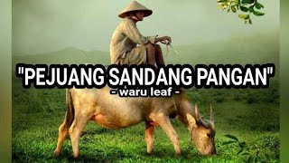 'PEJUANG SANDANG PANGAN' | Cepak Cepak Jeder Version | Waru Leaf 16 | Video Lirik