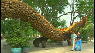 Người về thành phố-Trường Vũ DVD KARAOKE