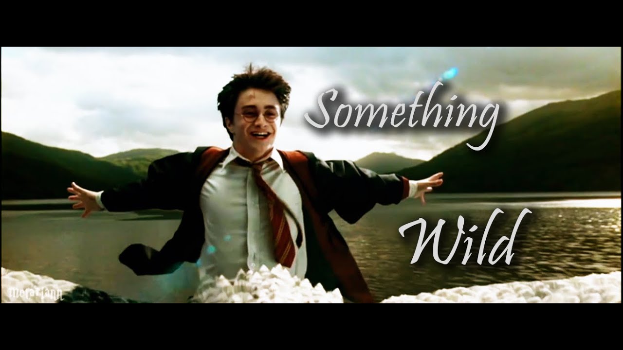 Harry Potter |⚡| Something Wild