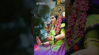 Download Lagu ma serowali MP3