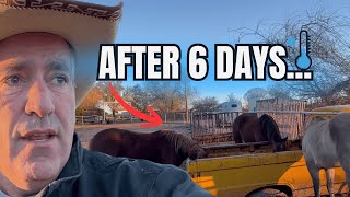 We Left The Farm… and THIS Is What We Came Home To 😳❄️