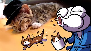 Introducing the kitties: Copy & Paste 🐈🐈
