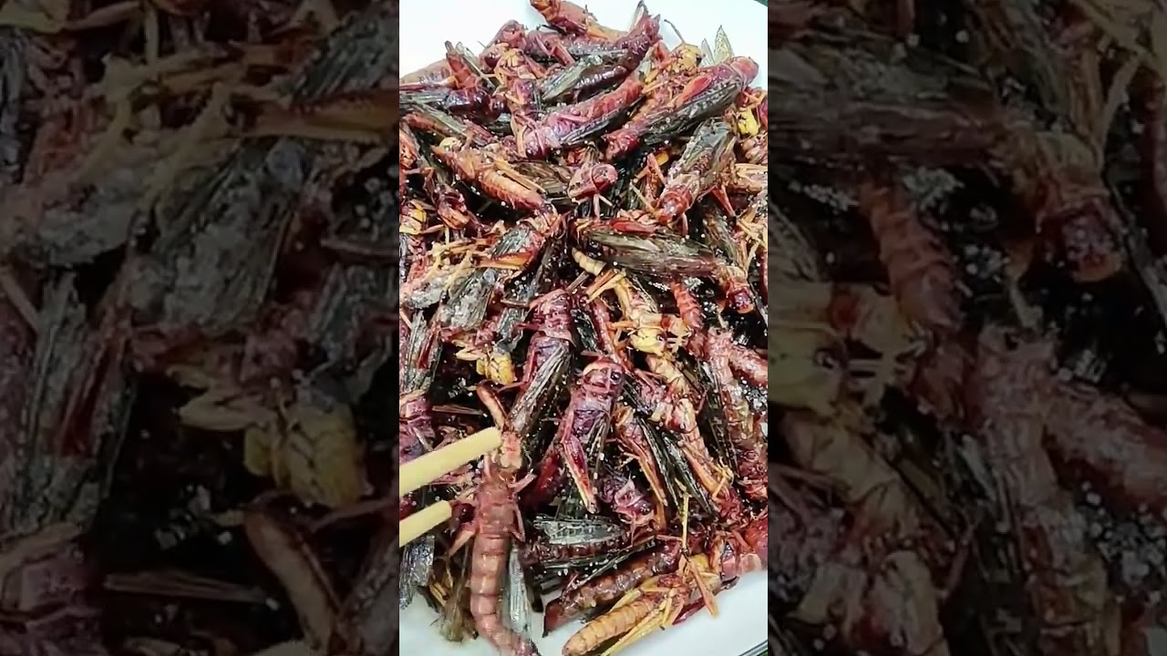 Fried Grasshoppers: A Delicious Insect Cuisine Experience!