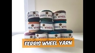 Lion Brand Yarn Haul - Ferris Wheel Yarn