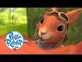 Peter Rabbit Nutkin Joins Team Rabbit Cartoons For Kids 