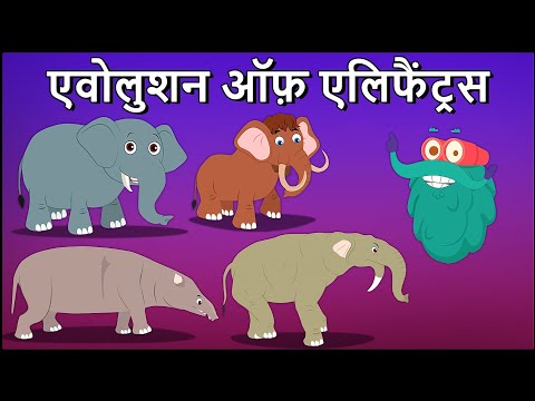 एवोलुशन ऑफ़ एलिफैंट्रस | हाथियों का विकास | Evolution Of Elephants In Hindi | Dr.Bincos Show