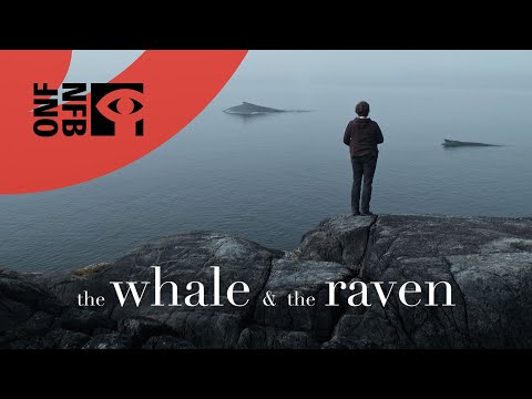 The Whale and the Raven (Trailer 1m46s)