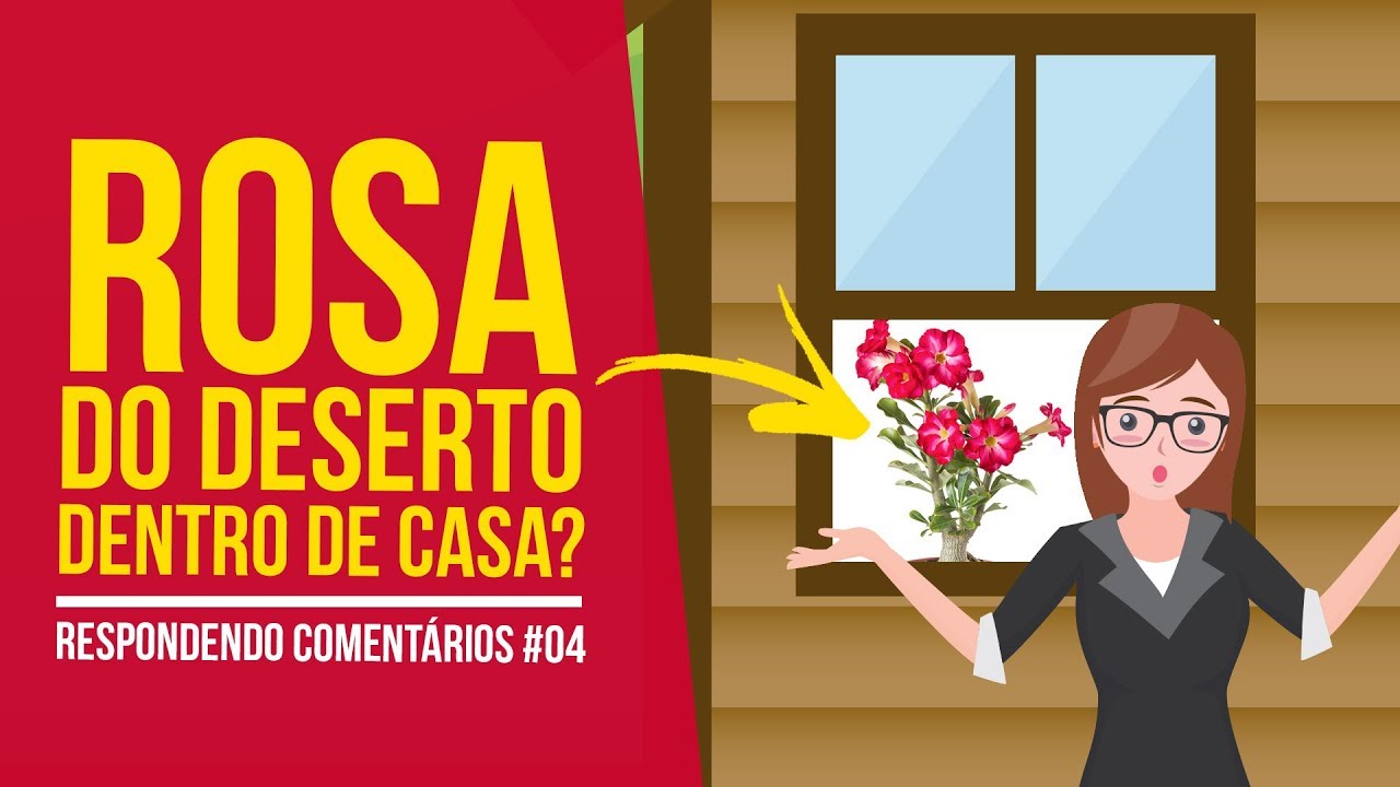 Rosa do Deserto Dentro de Casa? Respondendo Comentários #04 | Nô Figueiredo  - thptnganamst.edu.vn