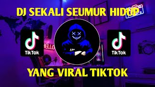 DJ SEKALI SEUMUR HIDUP🎶LESTI🎶REMIX TIKTOK VIRAL TERBARU FULL BASS